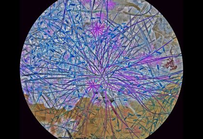 A circular photograph on black background of delicate, interwoven tendrils of grass in various shades of blue, lilac, purple and magenta interspersed with star shaped flowers, pieces of maroon moss and pale grey leaves. The flora floats in a nebulous white space that shifts to umber toward the bottom.