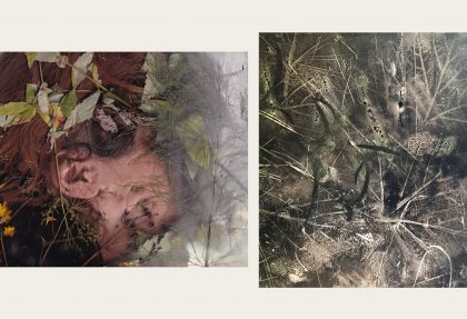 A photographic diptych of a woman's face in profile merging with and surrounded by flowing red hair, yellow flowers and green leaves. This image then meets a second one of leaf shadows and silhouettes.