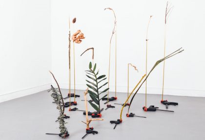 A collection of fifteen clamps, lying on the floor in a triangle formation, that are holding various types of plant stems and leaves upright. Eine Sammlung von fünfzehn Klemmen, die in einer Dreiecksformation auf dem Boden liegen und verschiedene Arten von Pflanzenstängeln und -blättern aufrecht halten.