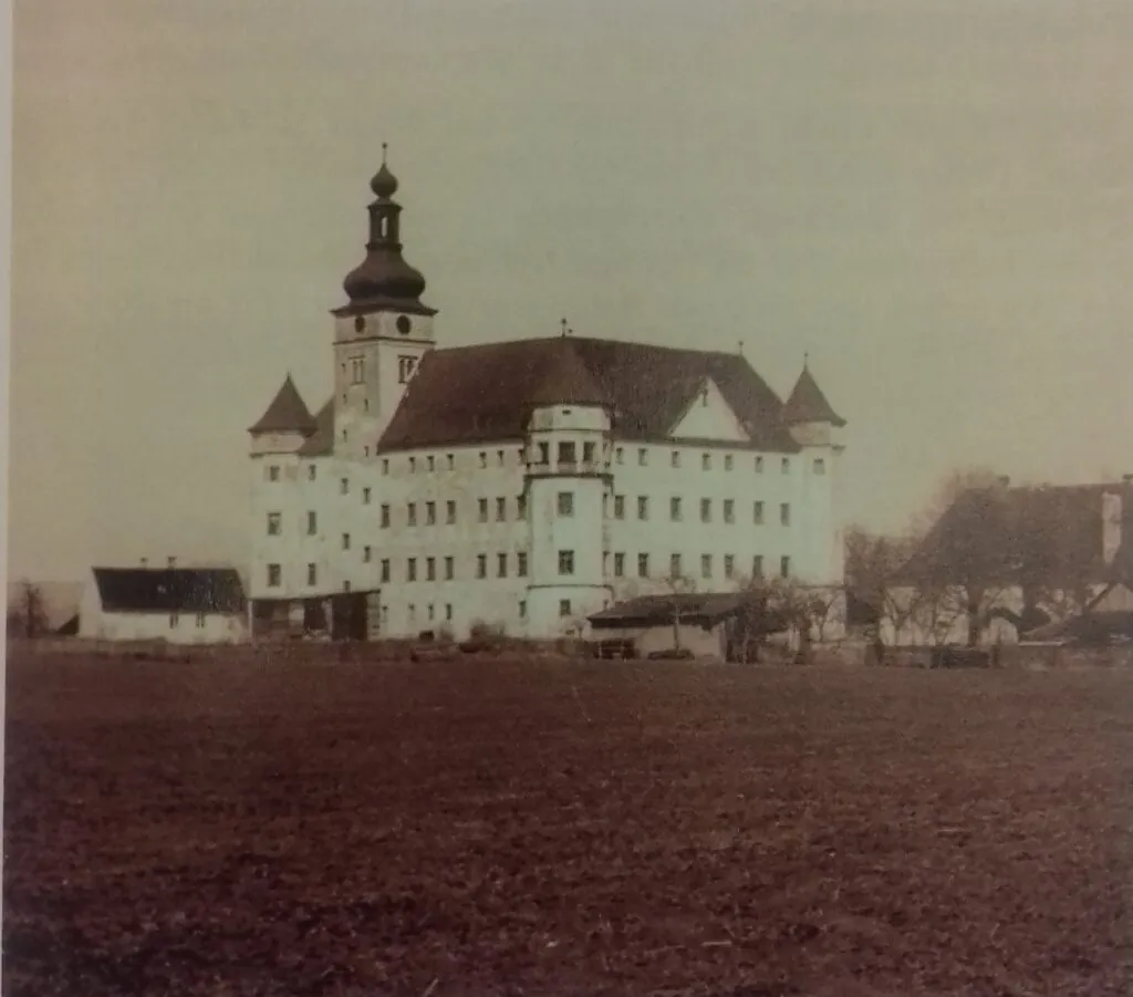 Unter einem düsteren Himmel ragt das Schloss Hartheim imposant über eine karge, brachliegende Landschaft. Das große rechteckige Gebäude wird an allen vier Ecken von Türmen flankiert, die jeweils mit einem kegelförmigen Dach gekrönt sind. Fenster rund um das Gebäude lassen erkennen, dass es drei Stockwerke mit hohen Decken gibt. In der Mitte einer Seite erhebt sich ein höherer Turm – der höchste Punkt des gesamten Schlosses –, der zu einem großen Schornstein führt. Kleinere Gebäude umgeben das Schloss und liegen verstreut zwischen kahlen Bäumen.